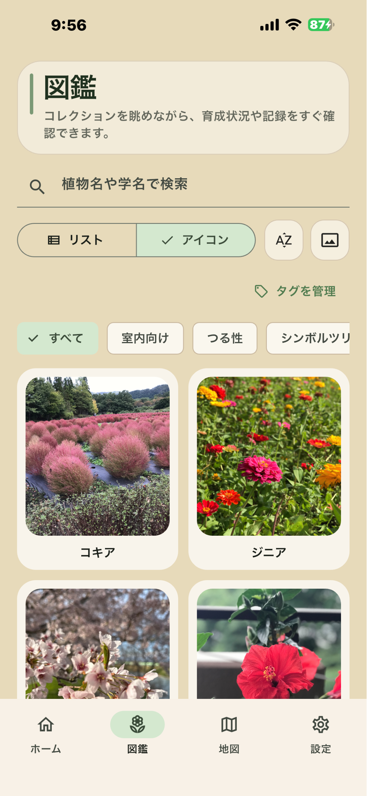 Catalog screen